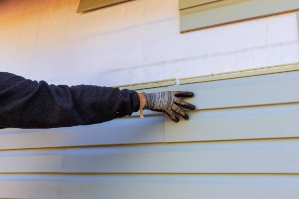 Best Historical Building Siding Restoration  in Hayden, CO